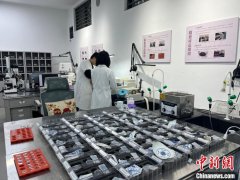 （中国新貌）景德镇古陶瓷基因库：让千年古瓷片链接世界